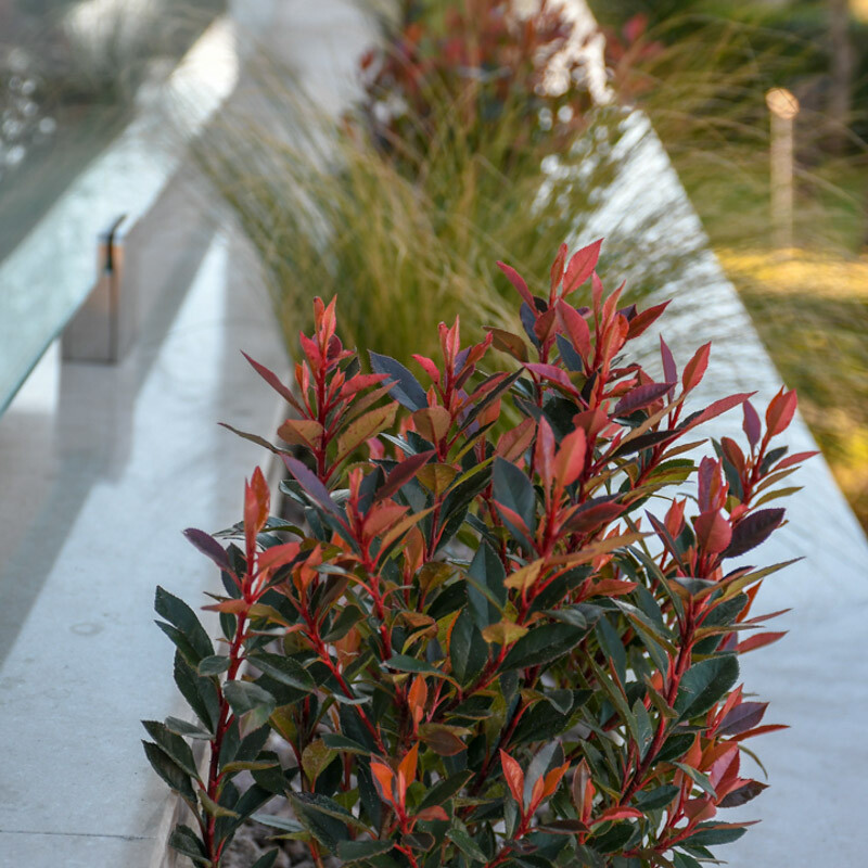 Schöne 4-Zi-Wohnung und Meerblick in Porec kaufen-27