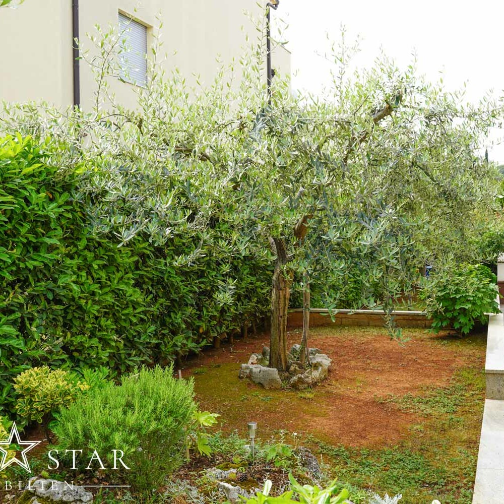 Großes Haus mit Garten in Porec kaufen