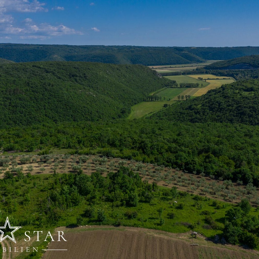 Haus mit Pool in Istrien kaufen