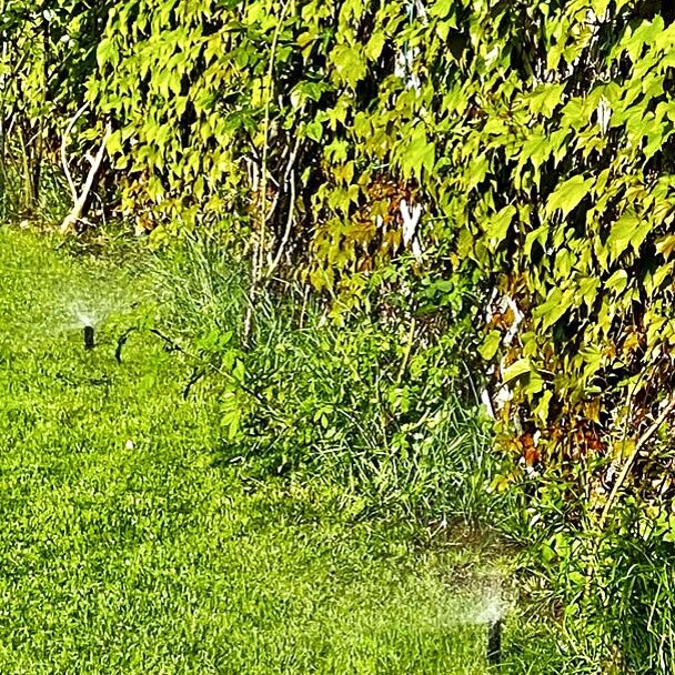 Villa mit Pool in Porec kaufen