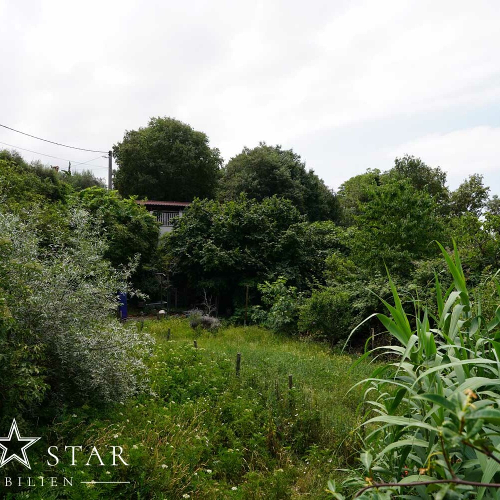 Altes Steinhaus in Kroatien Istrien kaufen