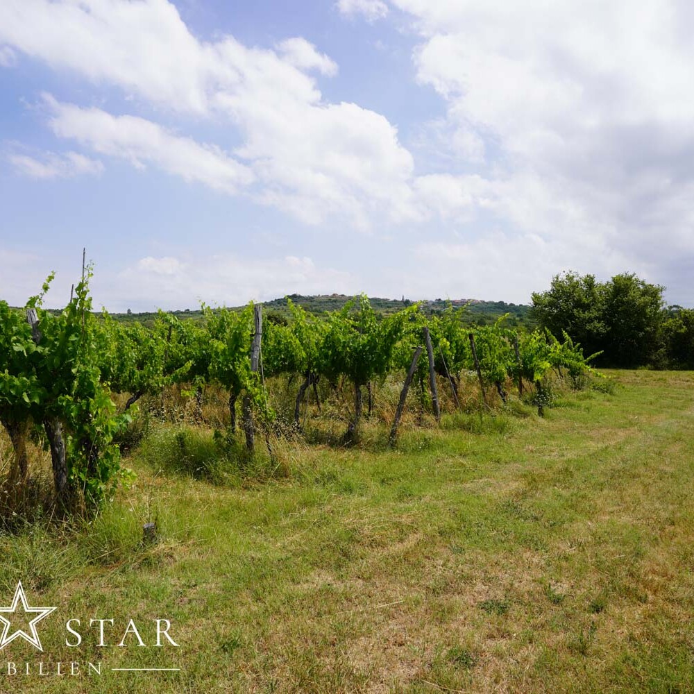 Altes Steinhaus in Kroatien Istrien kaufen