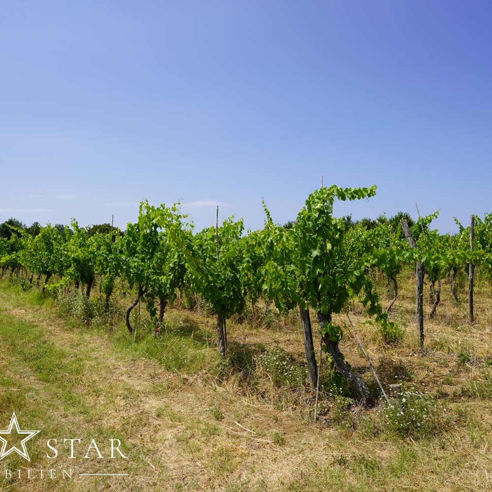 Altes Steinhaus in Kroatien Istrien kaufen