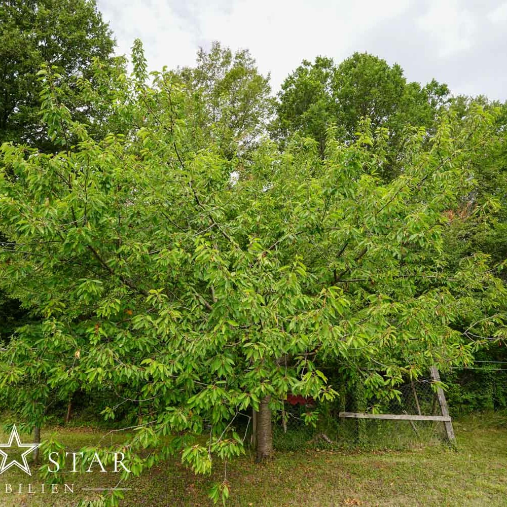Grundstück am Meer in Kroatien Istrien kaufen