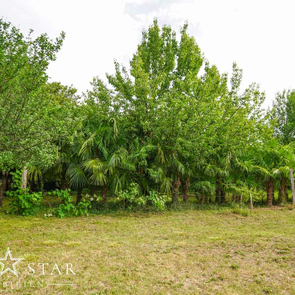 Grundstück am Meer in Kroatien Istrien kaufen