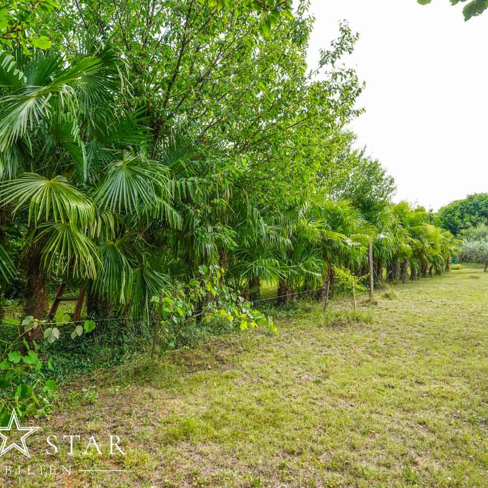Grundstück am Meer in Kroatien Istrien kaufen