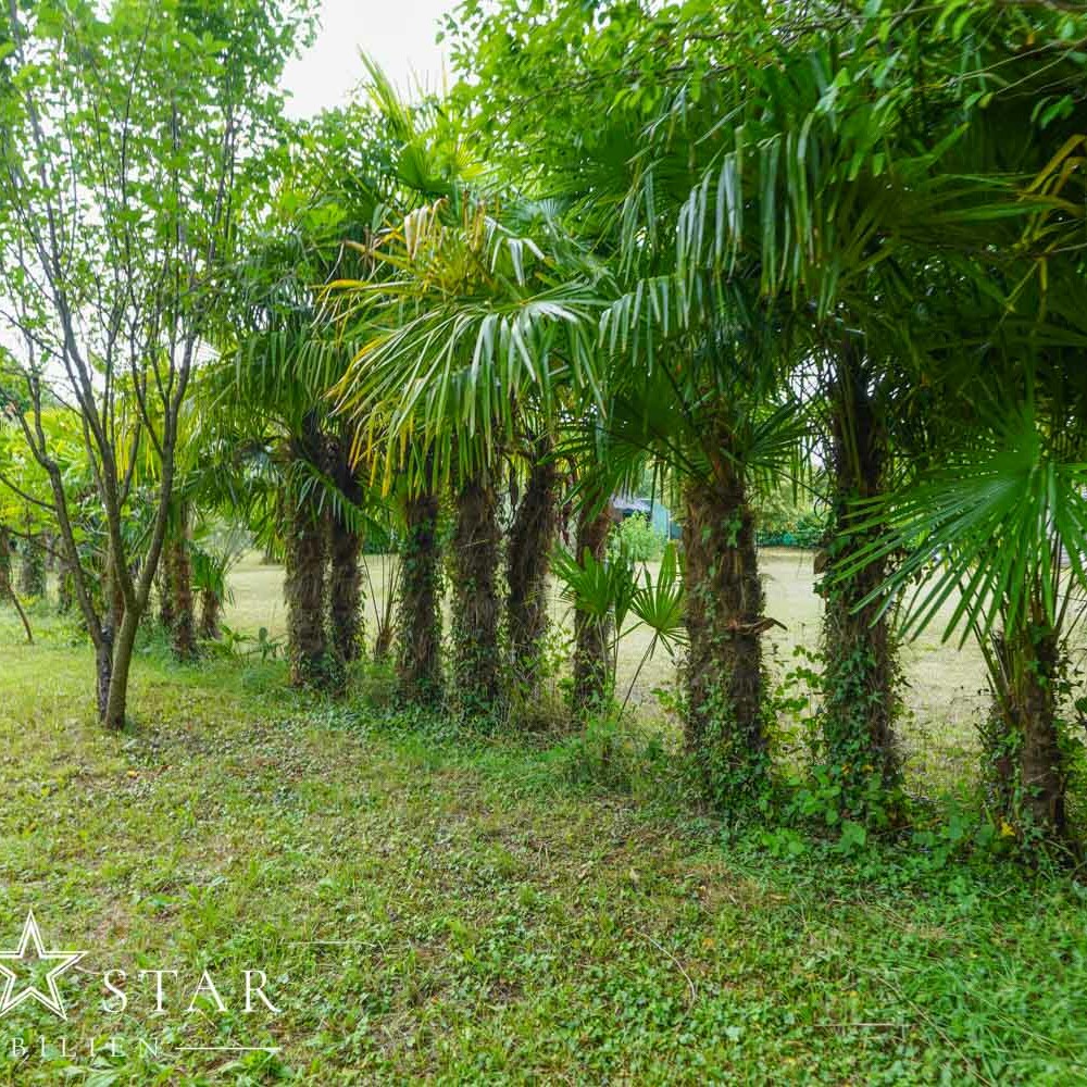 Grundstück am Meer in Kroatien Istrien kaufen