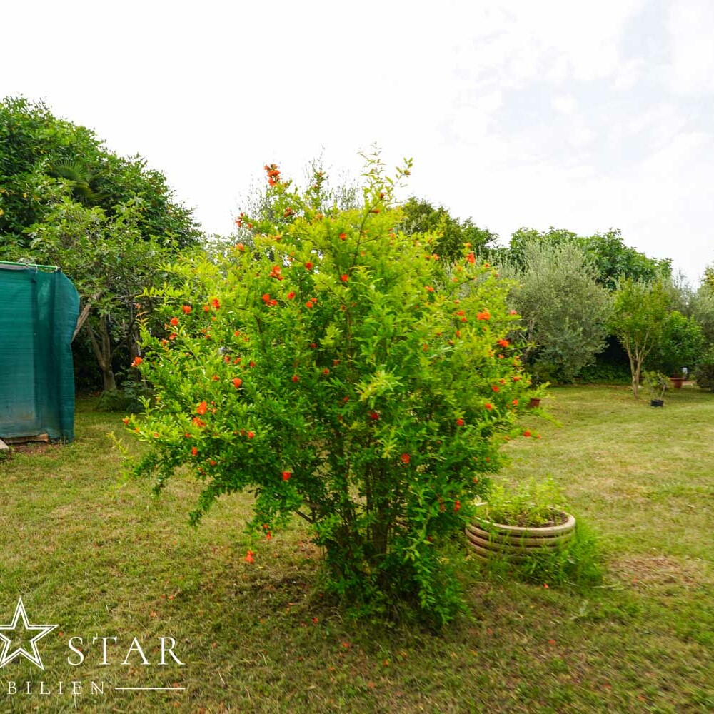 Grundstück am Meer in Kroatien Istrien kaufen