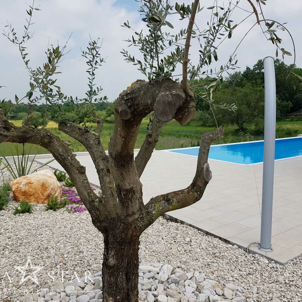 Neubau Villa mit Pool in Kroatien Istrien kaufen