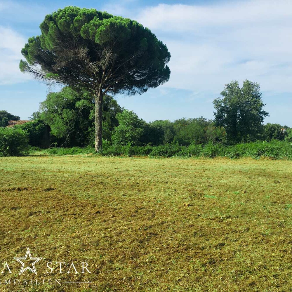 Grundstück in Kastelir zu verkaufen-4